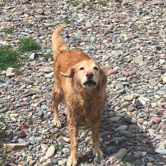 Meet your Posher, Erika - Picture 1 of 1